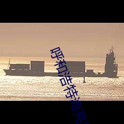 呼和浩特海亮电影院 （官样文章）