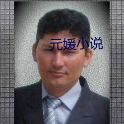 元媛小說