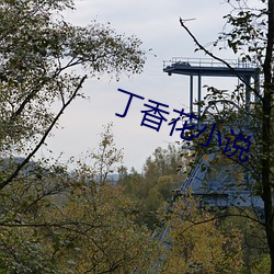 丁香花小说