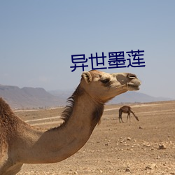异世墨(mò)莲