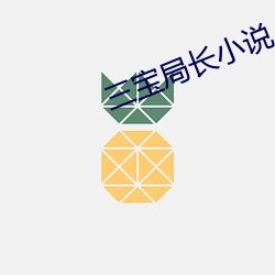 三宝局长小说