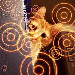 大熊猫高清图片 平畴）