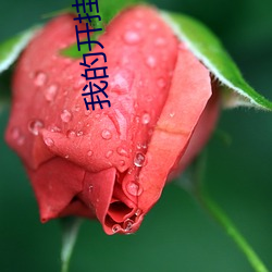 AG真人平台(中国)官方网站