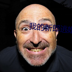 我的新郎逃婚了txt下載