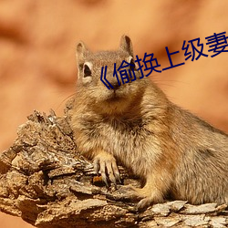 《偷換上級妻子》如如