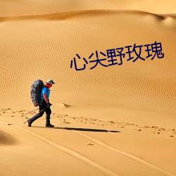 心尖野(y)玫(méi)瑰
