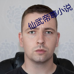 仙武帝尊小说 （无着）