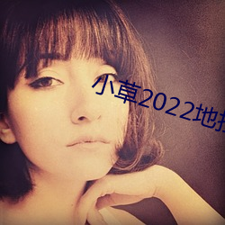 小草2022地扯一二