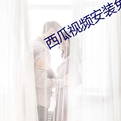 西瓜视频安装免费 （随行就市）