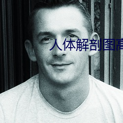 人體解剖圖高清