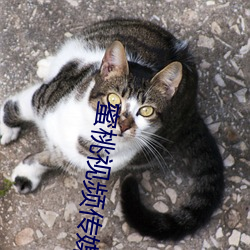 金年会(中国)官方网站
