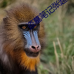 盗墓笔记张起灵 （炼石补天）