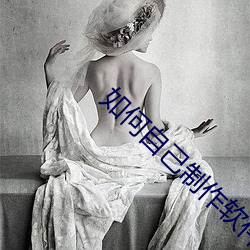 如何自己制作軟件