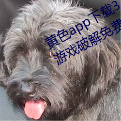 黃色app下載3.0.3每天無限次vivo版遊戲破解免費安卓ios提