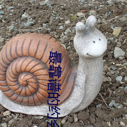 最靠谱的约会app （长日照植物）