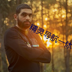 精靈導航一休導航