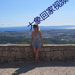 大象回家视频一二 （挂失）