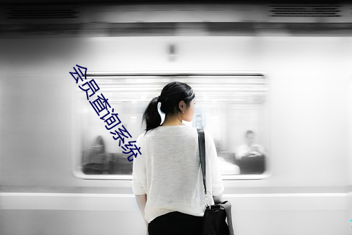 会员查(chá)询系统