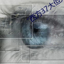 “西(xī)方37大(dà)但(dàn)人文艺术A管张晓”