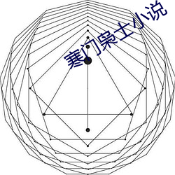 寒门枭士小说