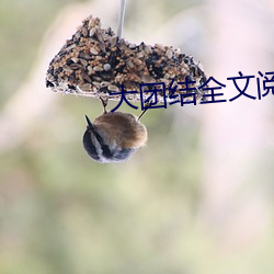 大团结全文阅读 （澄思渺虑）