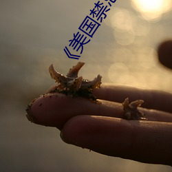 AG真人平台(中国)官方网站