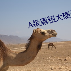 A級黑粗大硬長爽猛出猛進