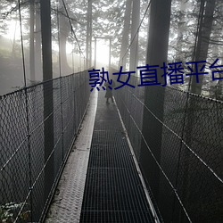 AG真人平台(中国)官方网站