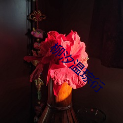 柳汐温琮衍