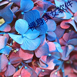尊龙凯时·(中国)官方网站