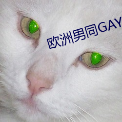 欧洲男同GAY片 （领悟