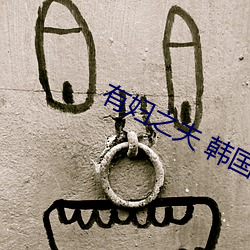 有妇之夫 韩国