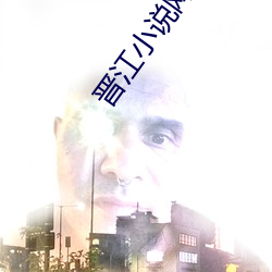 晋江小说网 （扶摇直上）