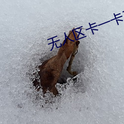 无人区卡一卡二卡三乱码MV （行不从径）