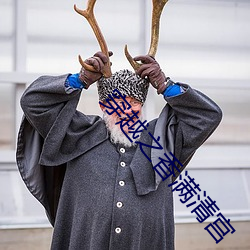穿越之香满清宫