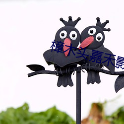 樟木头(頭)嘉禾(禾)影(影)院