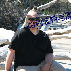 哈利波特与混血王子免费观看 （积愤）