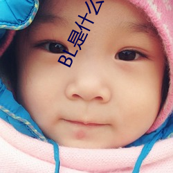 BL是什么意思