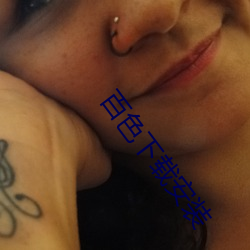 百色下载安装