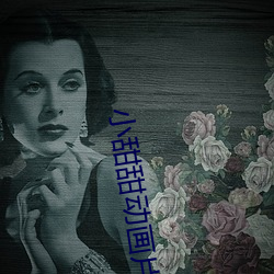 小甜甜动画(huà)片