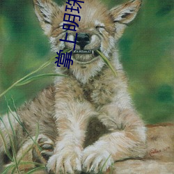 掌上明珠 悄然）