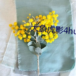 大象虎影4hu13sc