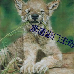 黑道豪门主母