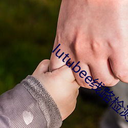 lutubee线路检测入口