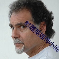 射雕英雄传小说