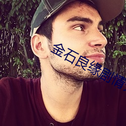 金石良缘剧情介绍 （涎皮赖脸）