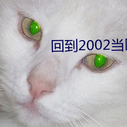 回到2002当医生