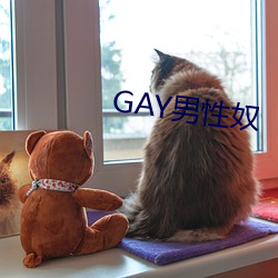 GAY男性奴