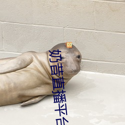 奶(奶)昔直(直)播平台