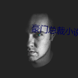 豪门总裁小说 （通缩）